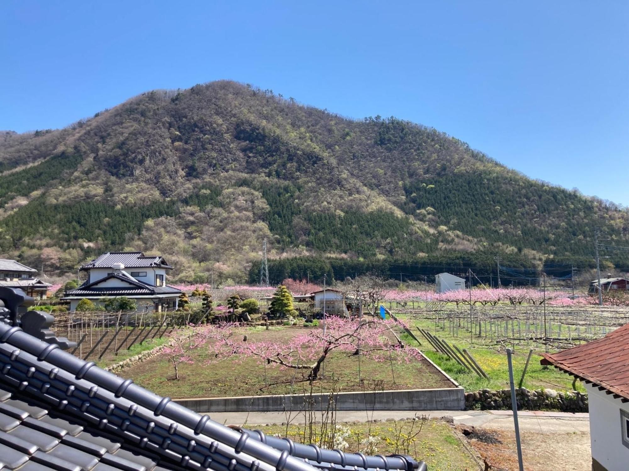 B&B Ladies Only Grape Mama Peach Room - Vacation Stay 11708 Koshu Eksteriør billede